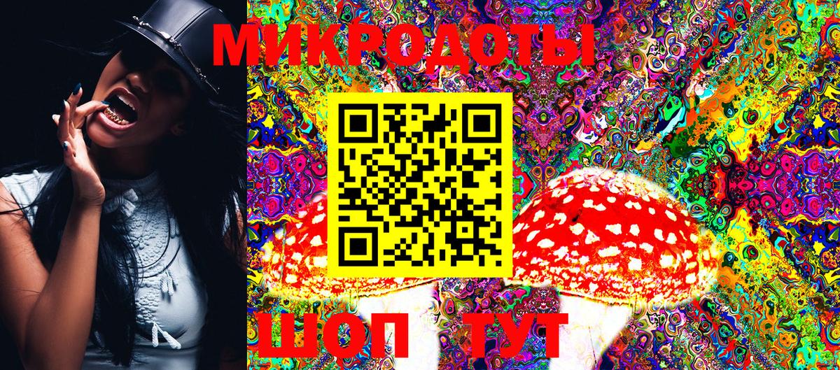 Псилоцибиновые грибы Psilocybine cubensis Балахна